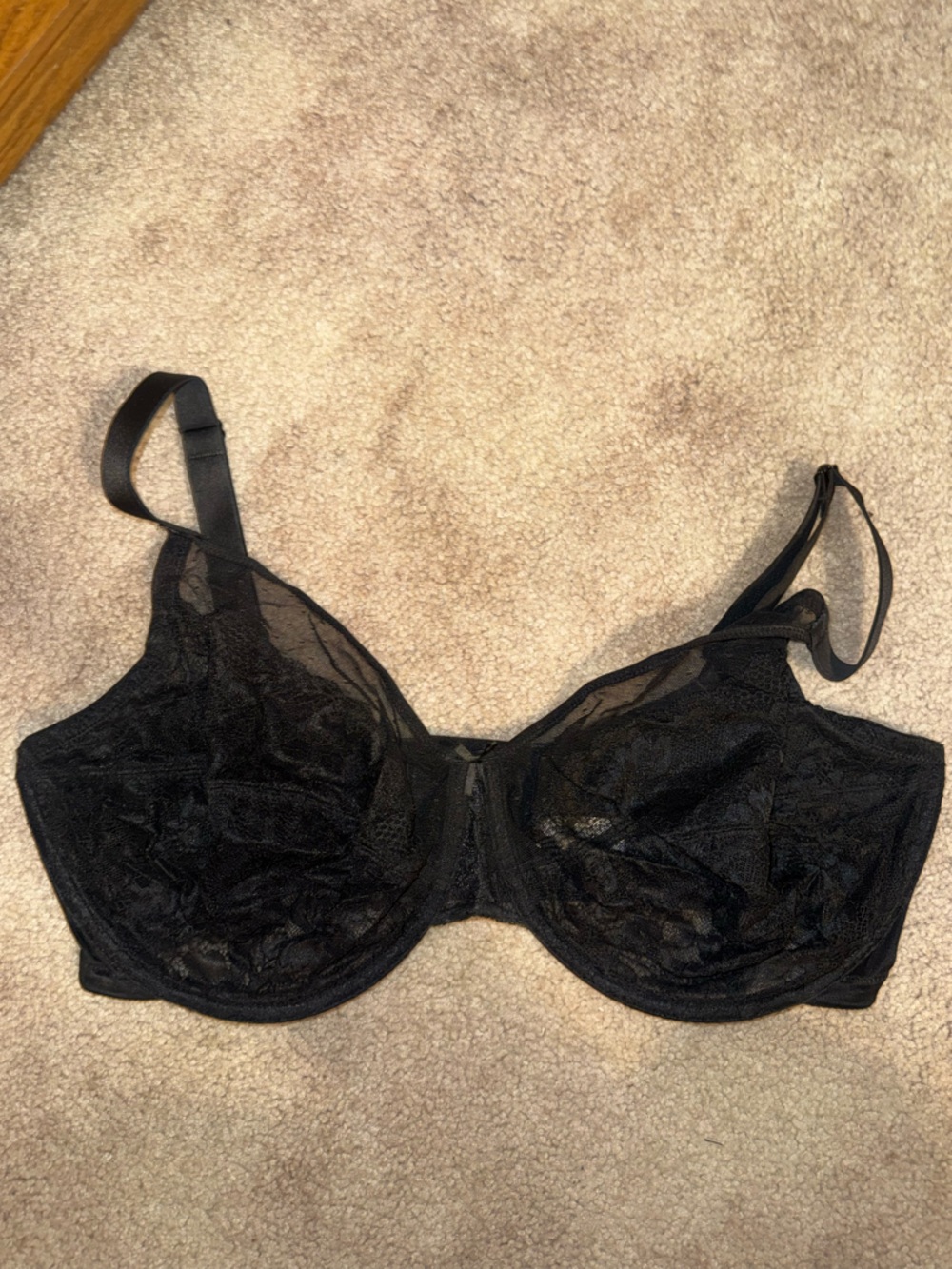 HSIA Sheer Lace Underwire Bra in Black - 36H (5D)